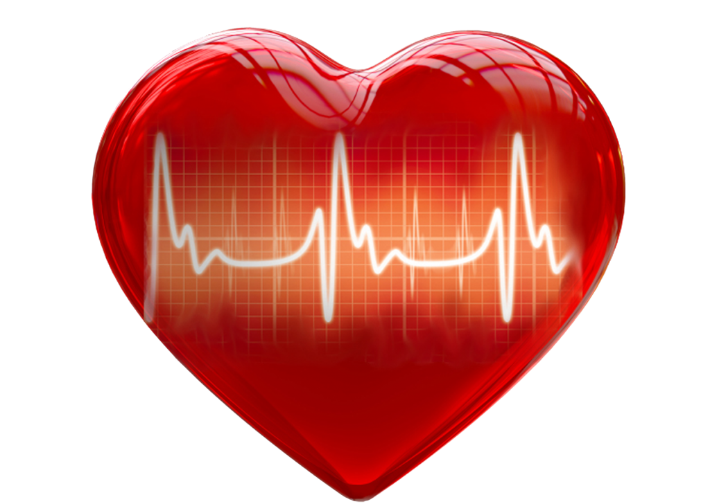 Entenda o funcionamento do coração e suas complicações