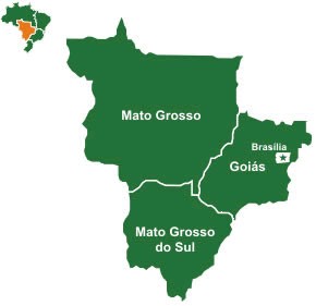 Mapa do brasil norte nordeste sul sudeste centro oeste Regioes Brasileiras E Suas Principais Caracteristicas Na Geografia Do Brasil